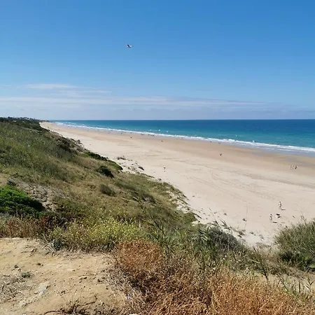 Indo En Oggob Com * Chiclana de la Frontera